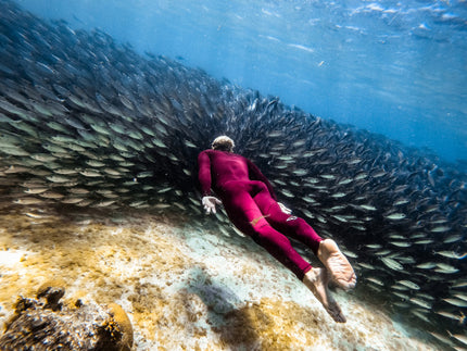 merken-brunotti-wetsuit