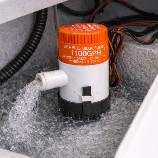 Belangrijkste kenmerken