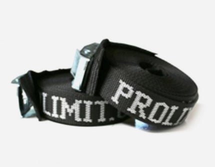 Prolimit Spanbanden 25mm 4.5m