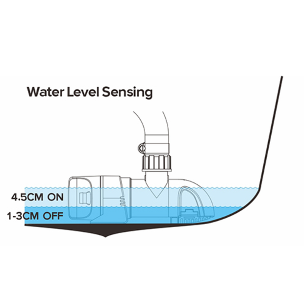 Belangrijkste kenmerken